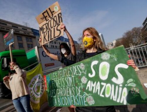 Cómo el acuerdo tóxico entre la Unión Europea y el Mercosur compromete las metas climáticas de Brasil